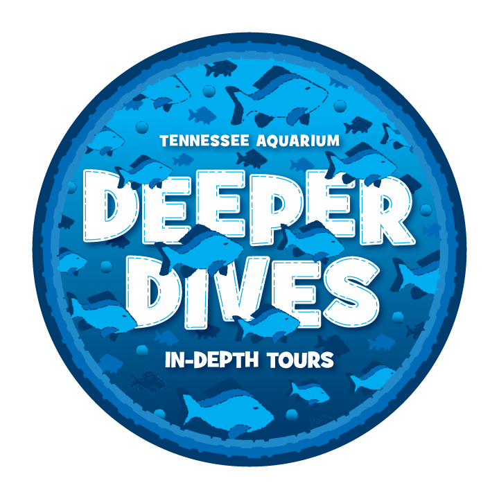 Deeper Dives logo