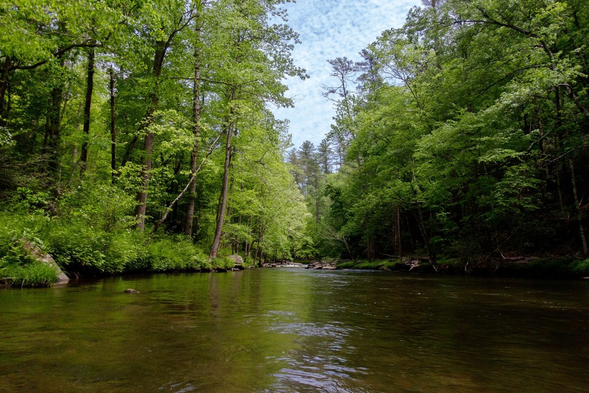 Tellico River