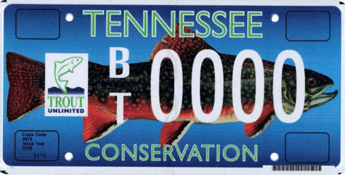 Specialty vanity license plate for Brook Trout conservation
