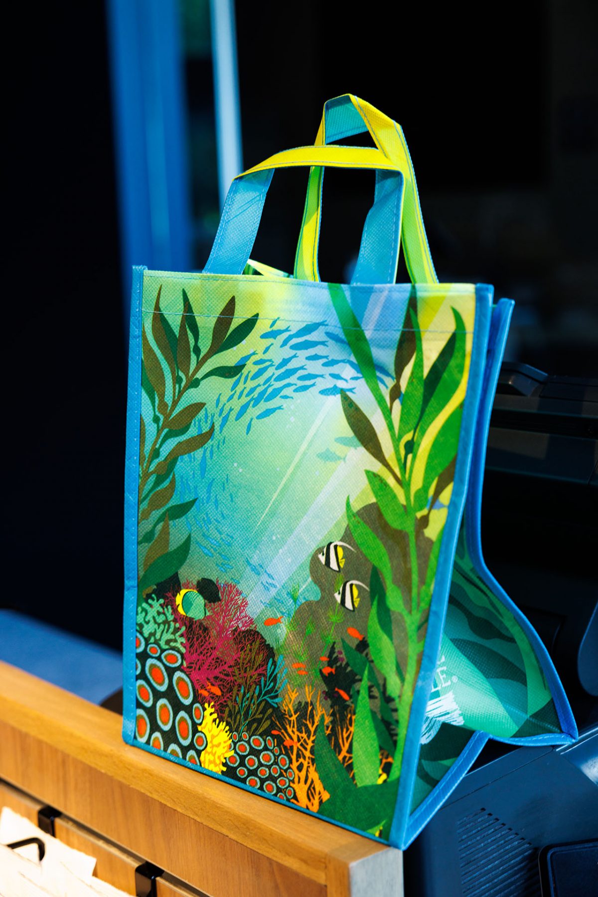 A reusable shopping bag