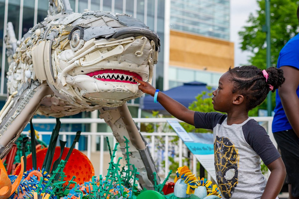 A guest touches a shark made from plastic