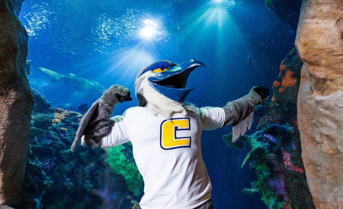 University of Tennessee at Chattanooga mascot Scrappy poses in front of the Secdret Reef exhibit at the Tennessee Aquarium