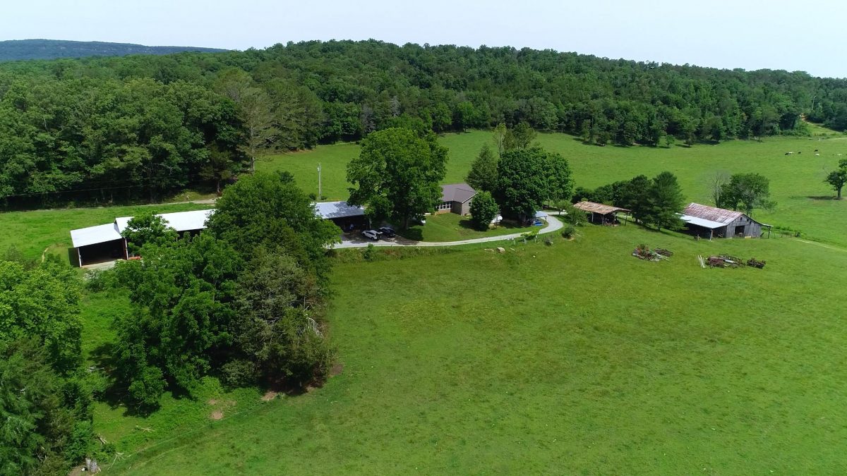 Jimmy Standefer Farm Aerial