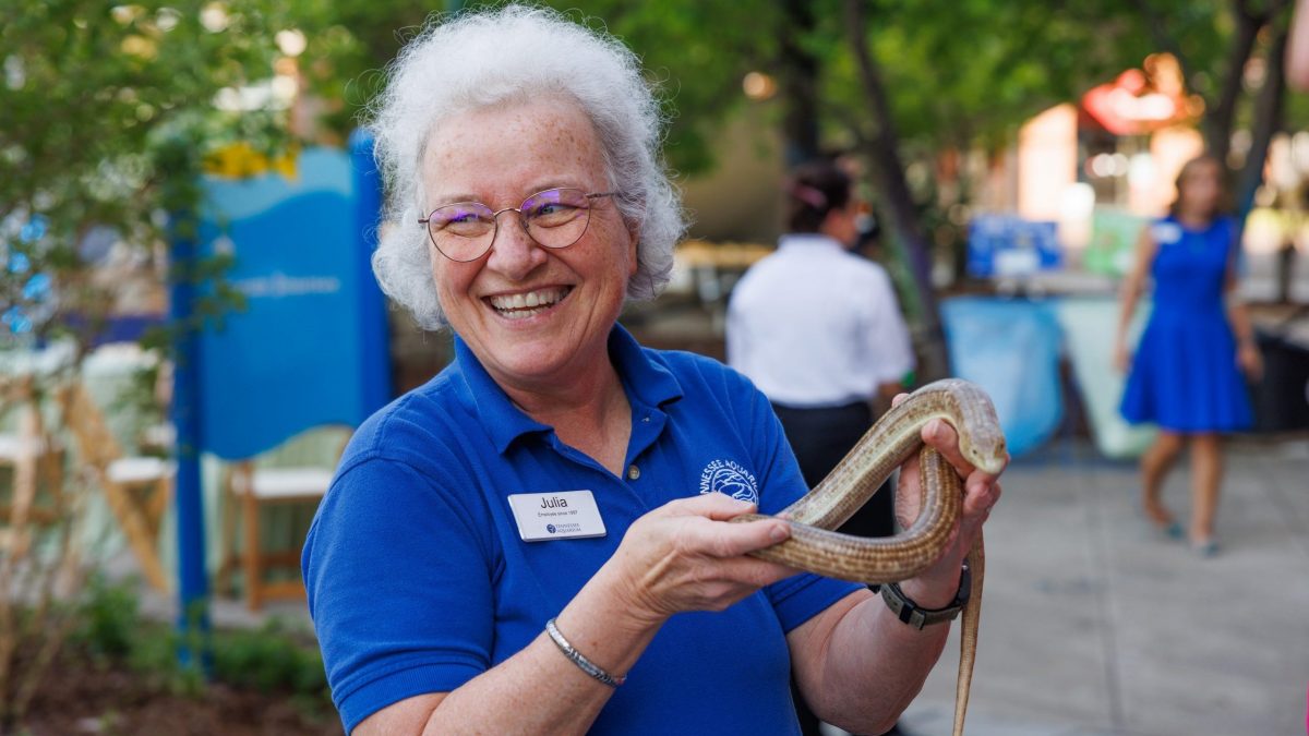 Senior Educator Julia Gregory holds a snake at the Tennessee Aquarium's 30th anniversary VIP celebration event.