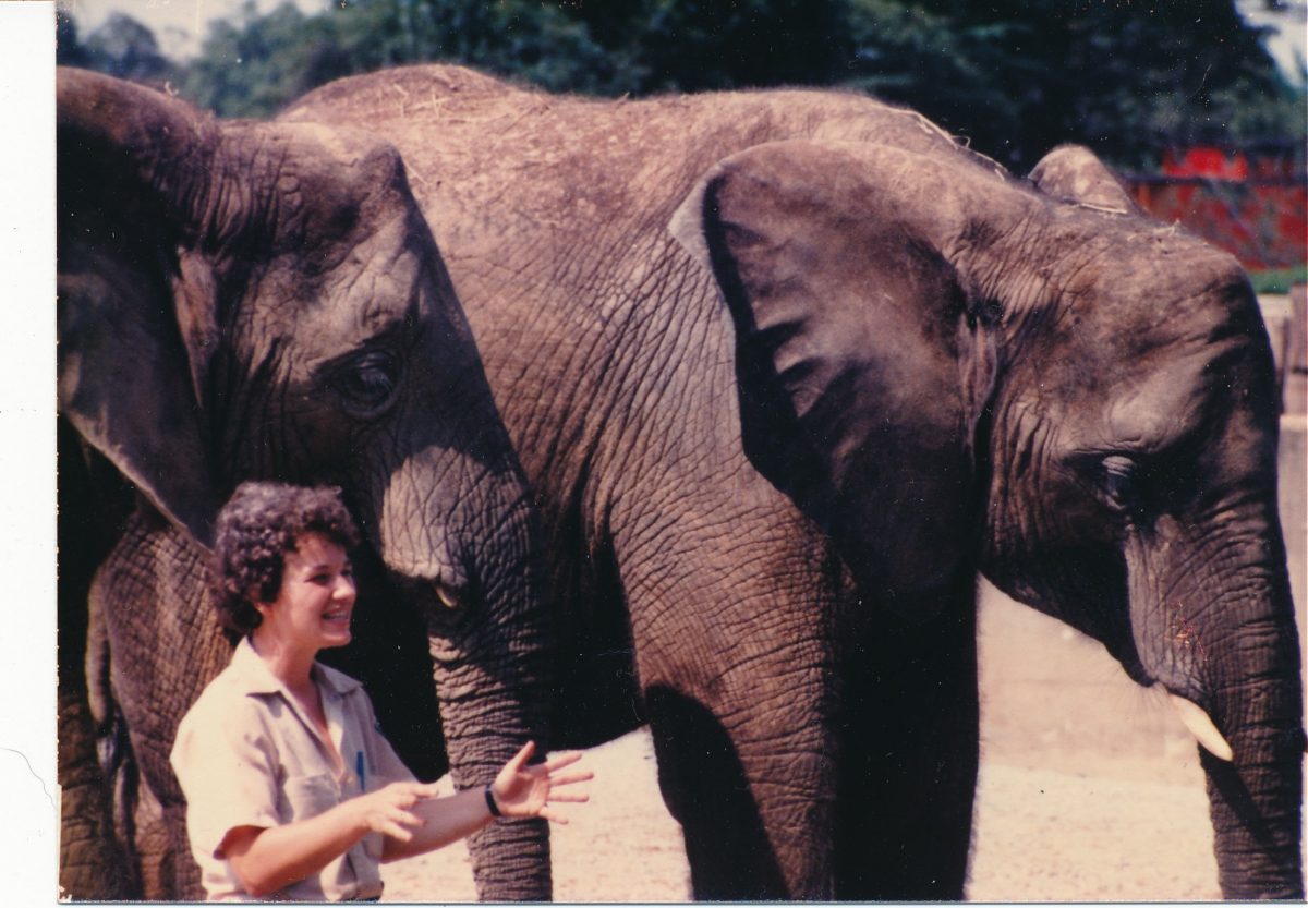 Julia Gregory stands next to an Elephant while employed as a keeper at the Virginia Zoo.