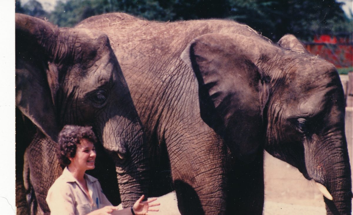 Julia Gregory stands next to an Elephant while employed as a keeper at the Virginia Zoo.