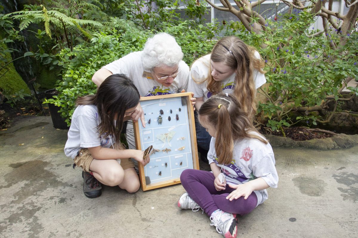 Senior Educator Julia Gregory hosts a monthly meeting of the Aquarium's Bug Club.