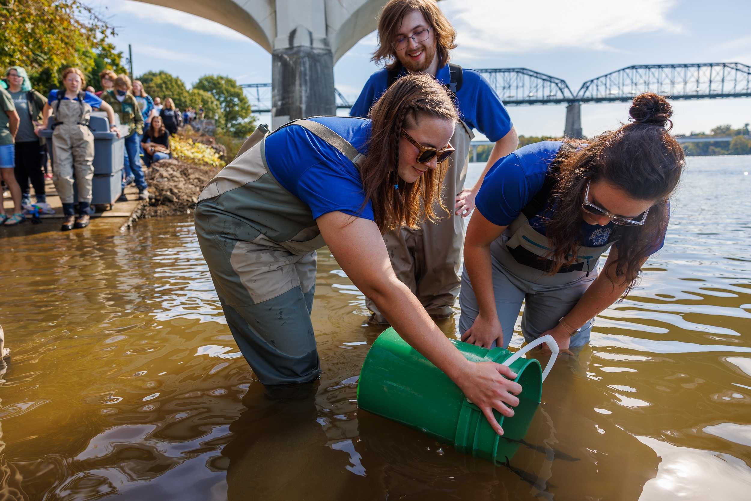 People release lake sturgeon from a bucket into a river
