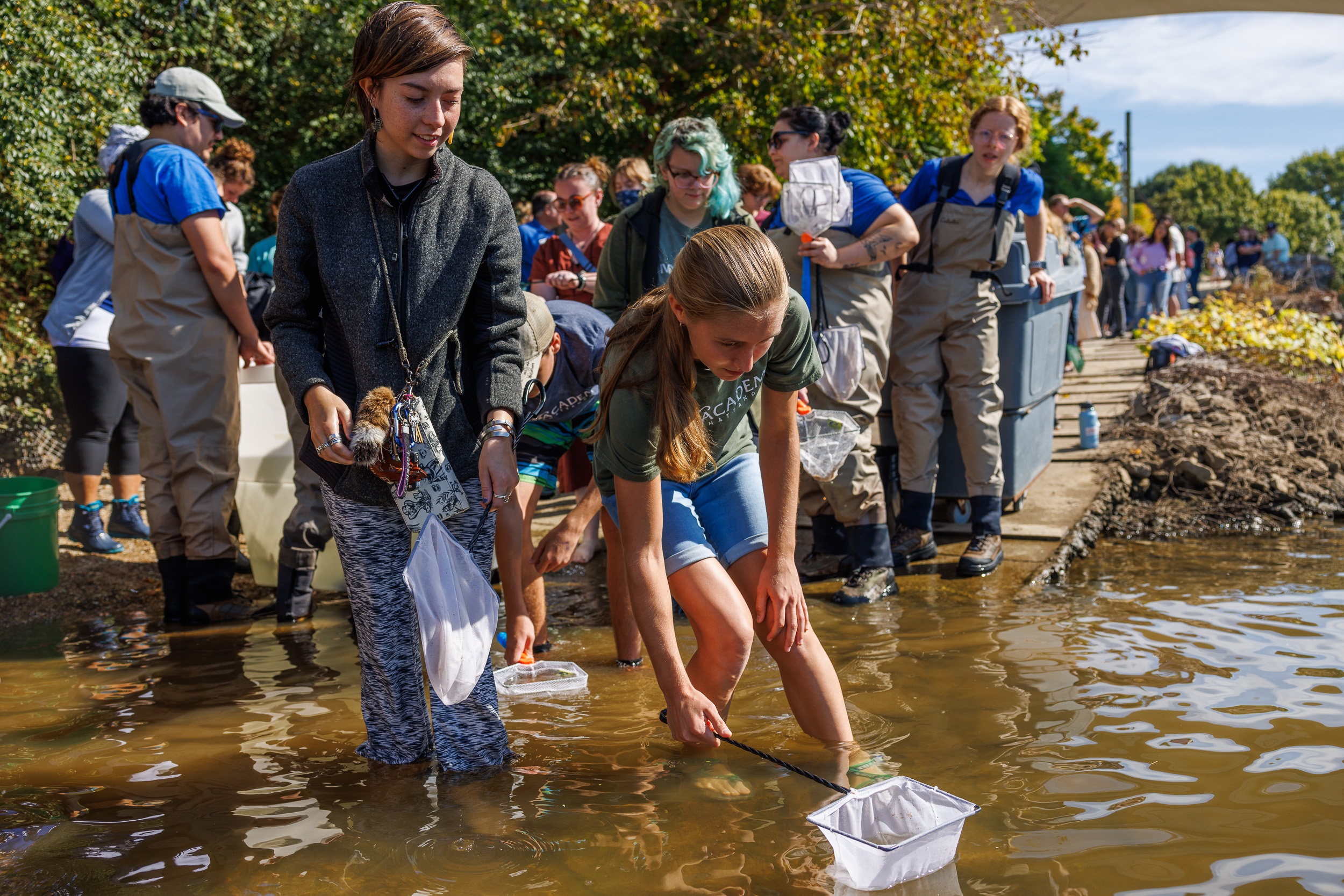 Students use nets to release lake sturgeon into a river