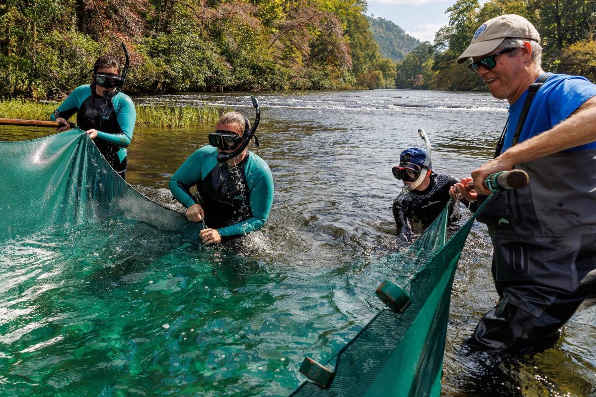 Scientists raise a seine net out of the Tellico River while collecting darters
