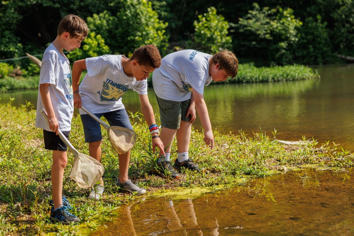 summer campers holding nets in stream