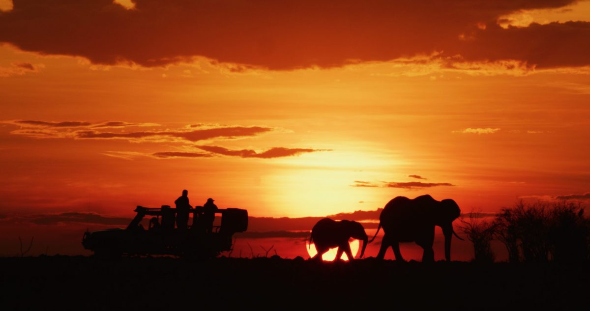 Sunset view of a jeep and elephants in silhouette on the plains of the Serengeti