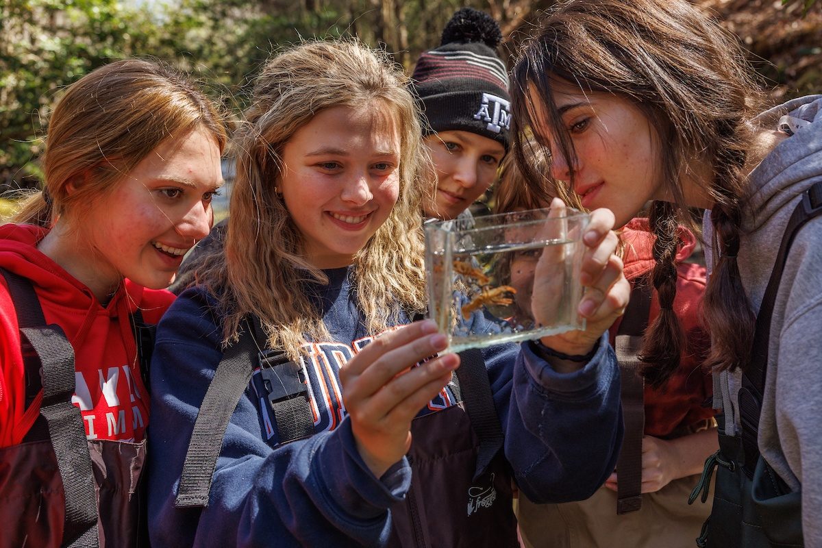 Baylor School students look at aquatic macroinvertebrates collected from Bumbee Creek in Rhea County, Tennessee