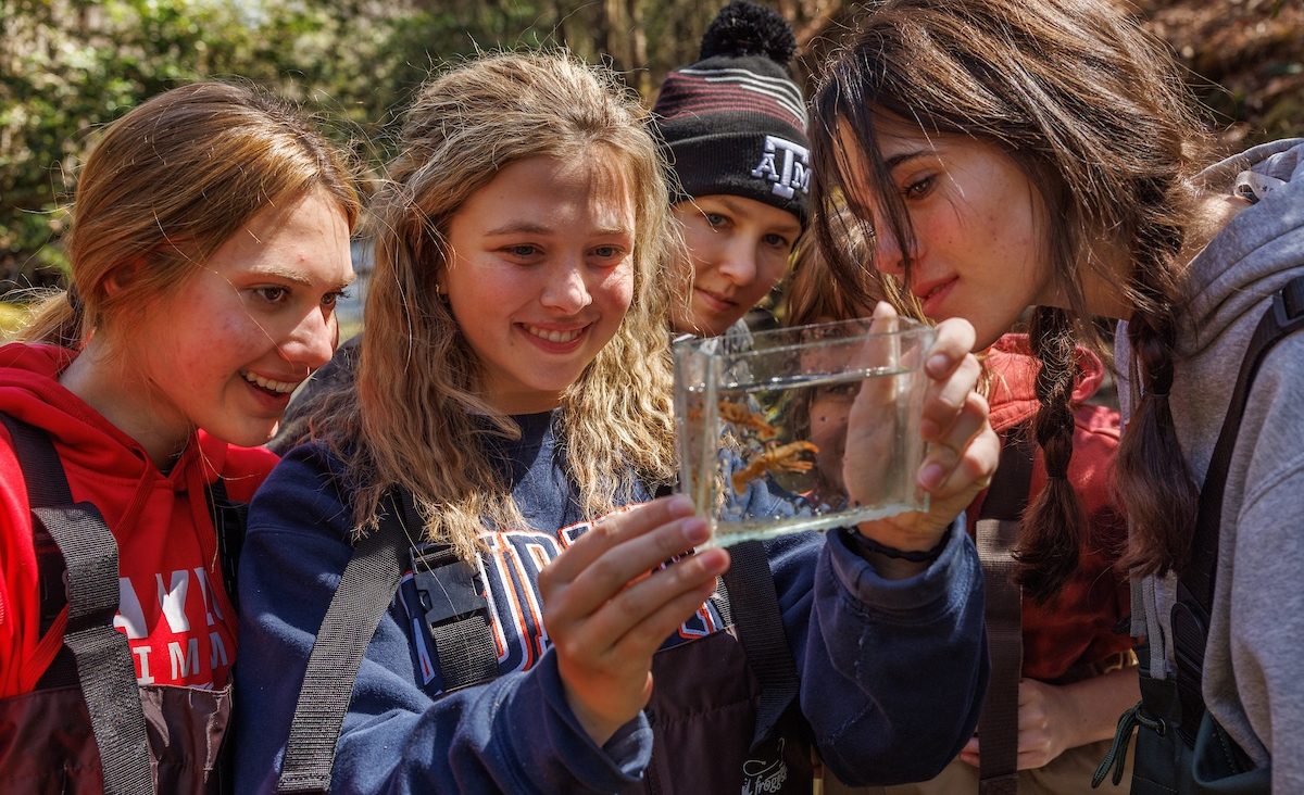 Baylor School students look at aquatic macroinvertebrates collected from Bumbee Creek in Rhea County, Tennessee