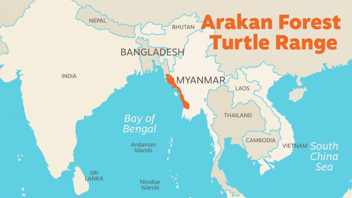 Range map for the Arakan Forest Turtle