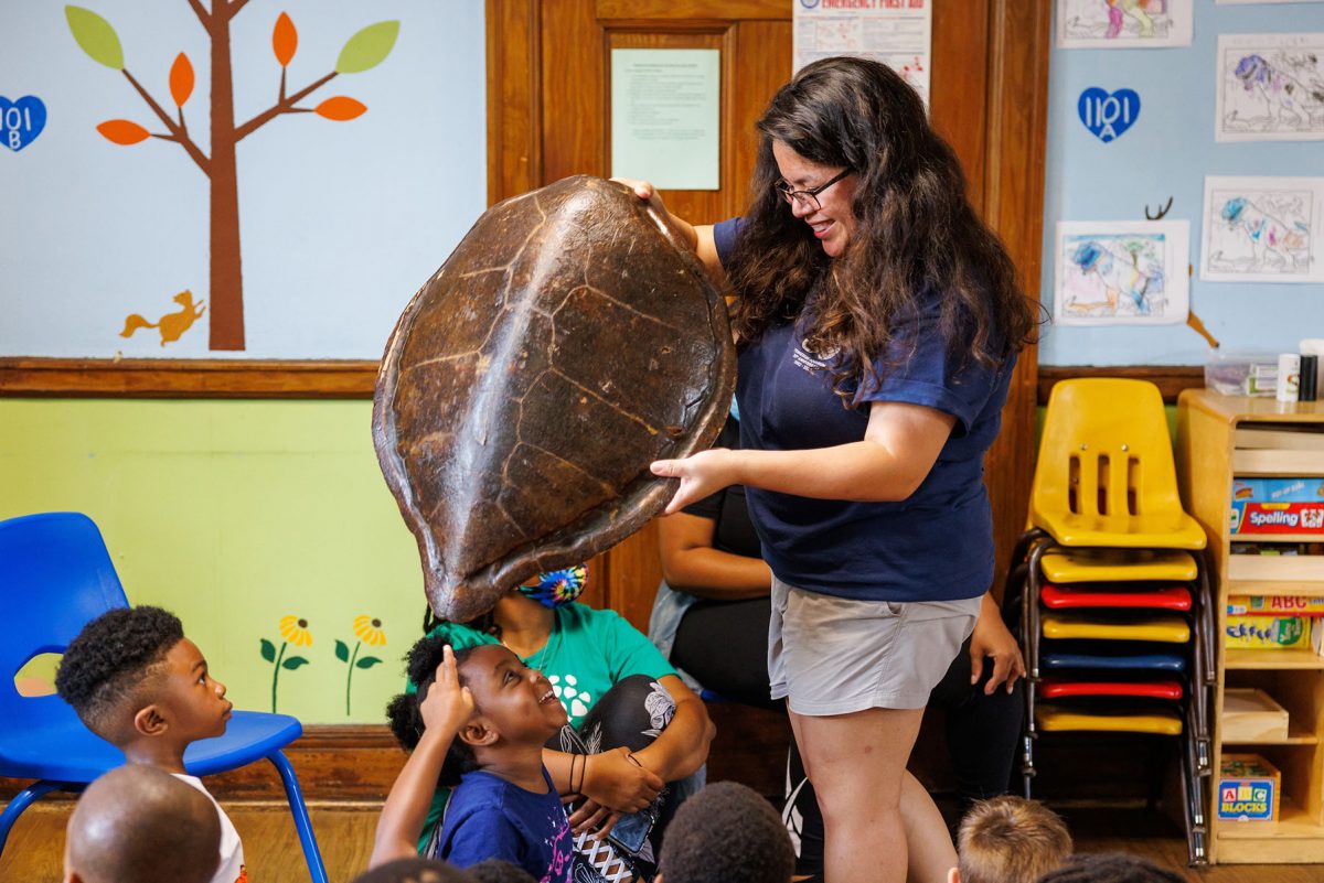 educator in classroom with turtle shell