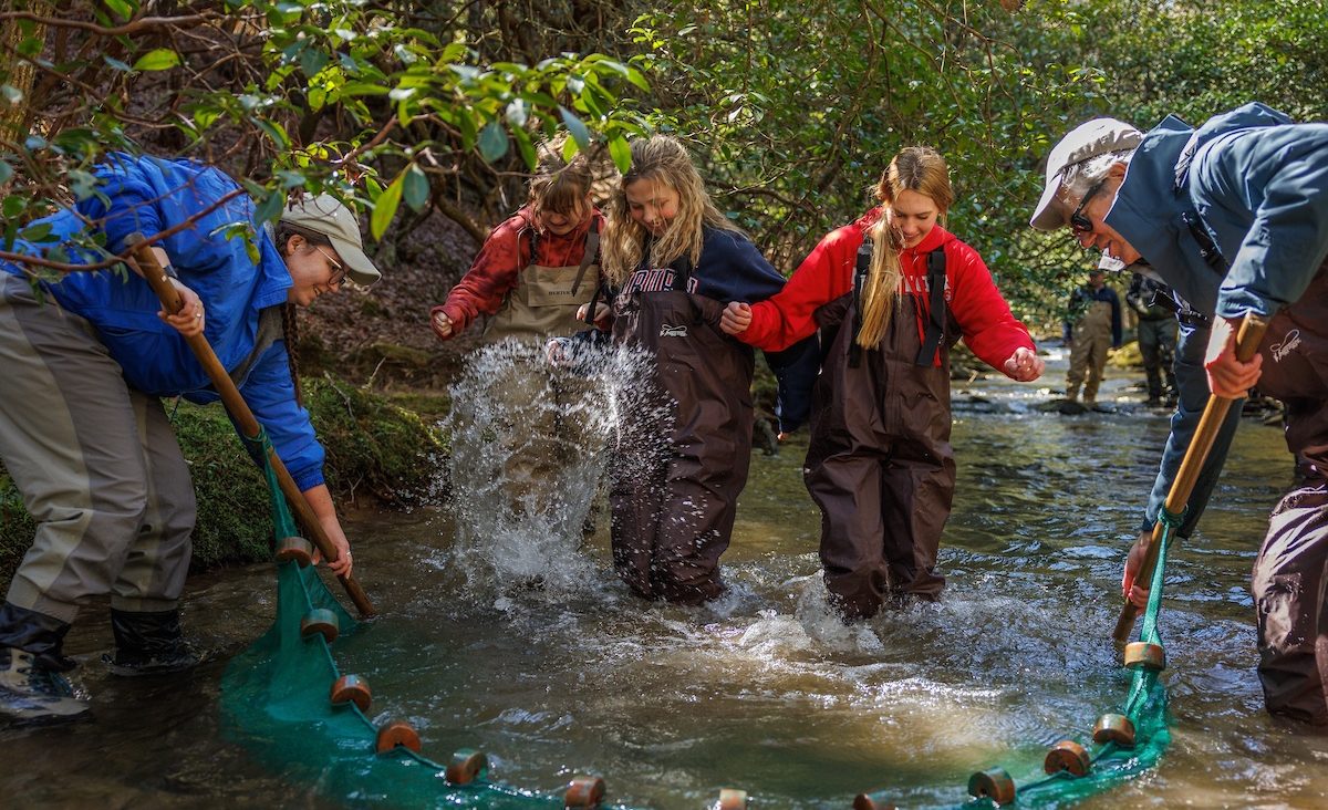Students from Baylor School splash through the waters of Bumbee Creek to herd Laurel Dace into a collection net
