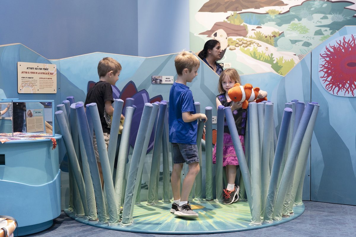 children interacting with Wild Kratts exhibit
