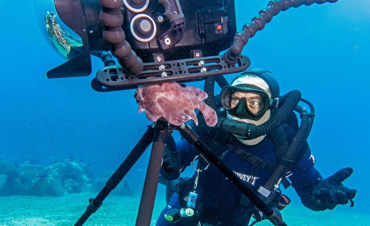 Jonathan Bird with a Giant Frogfish on his camera tripod, while filiming for Secrets of the Sea