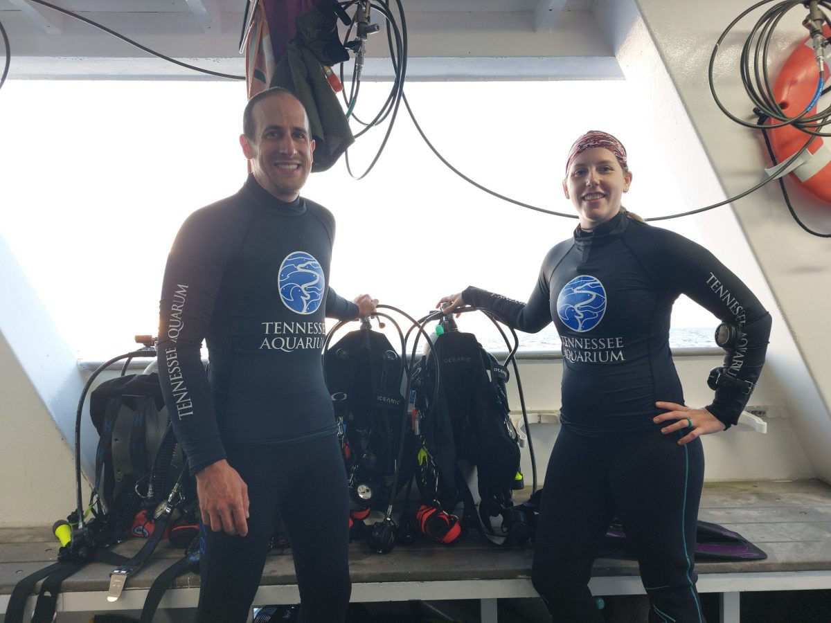 Two aquarists wearing wetsuits ready to enter the water