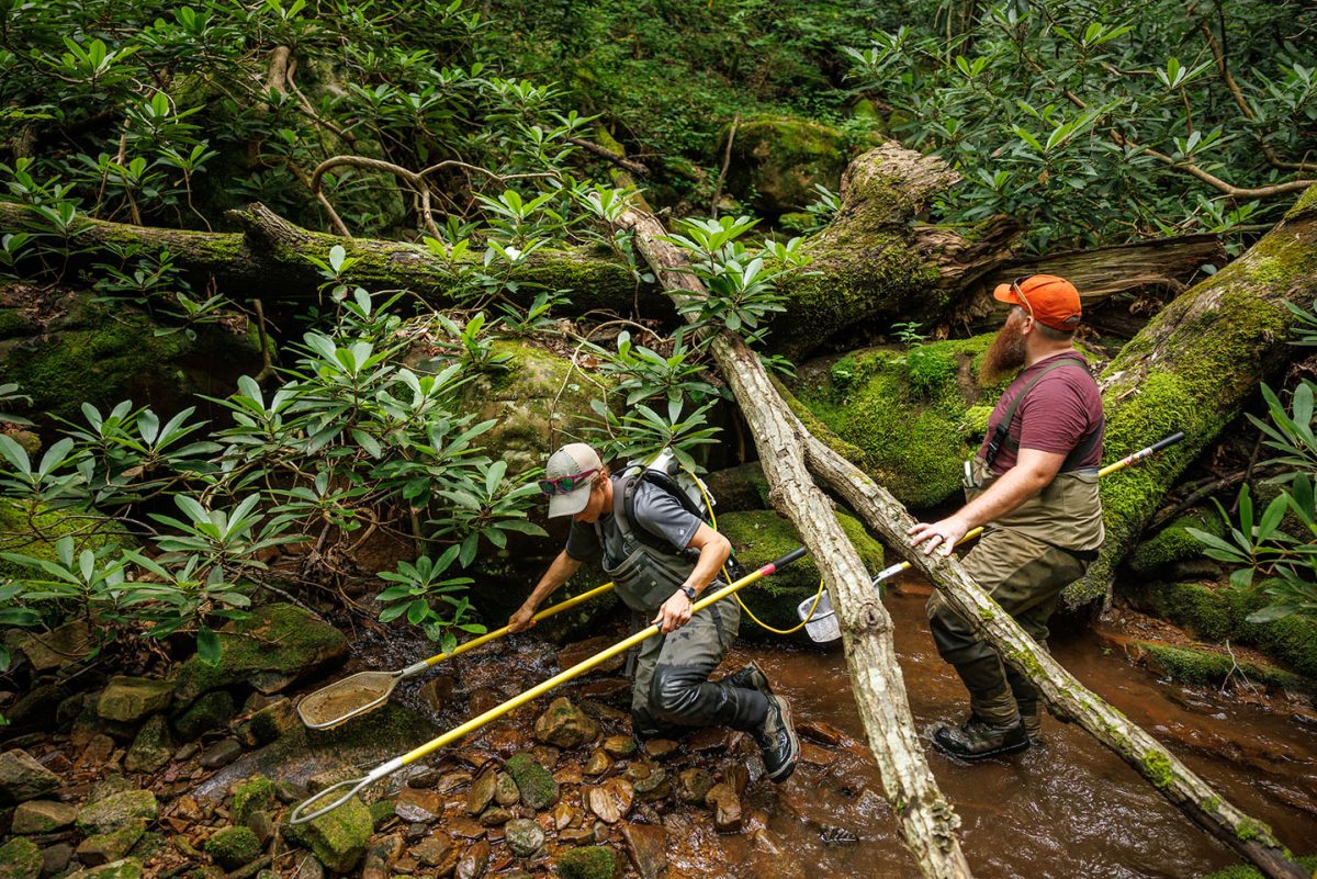 Researchers climb through a stream