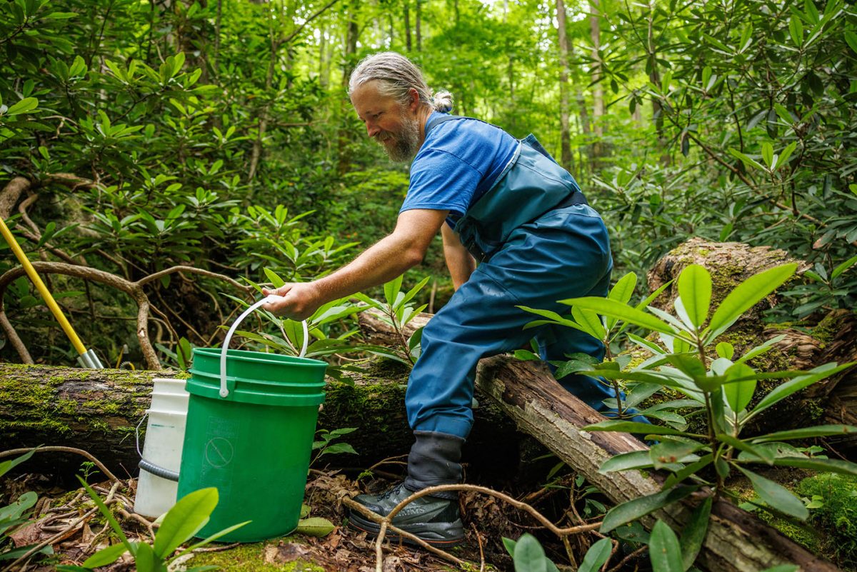 A researcher carries a bucket over a log