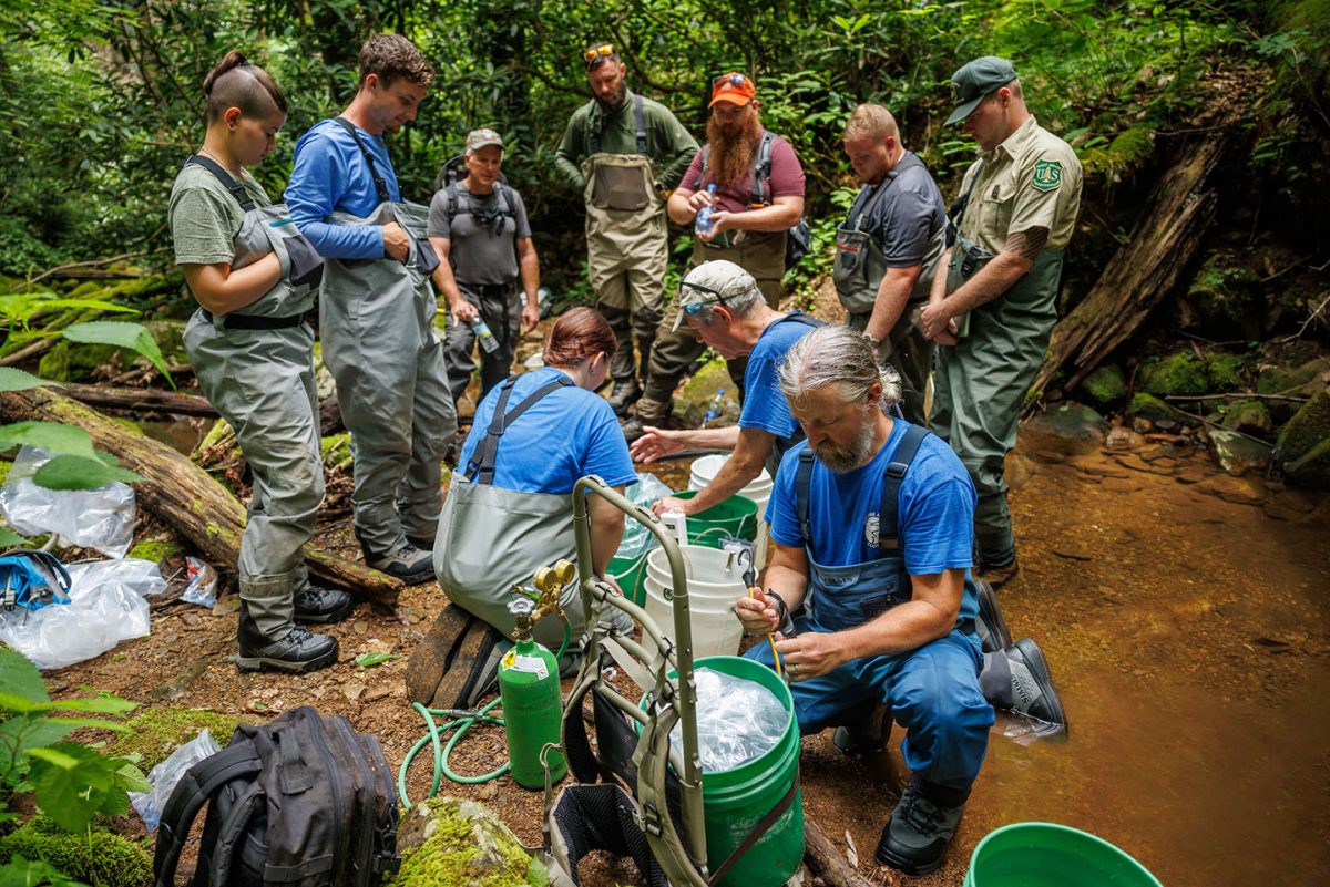 People gather as brook trout are counted