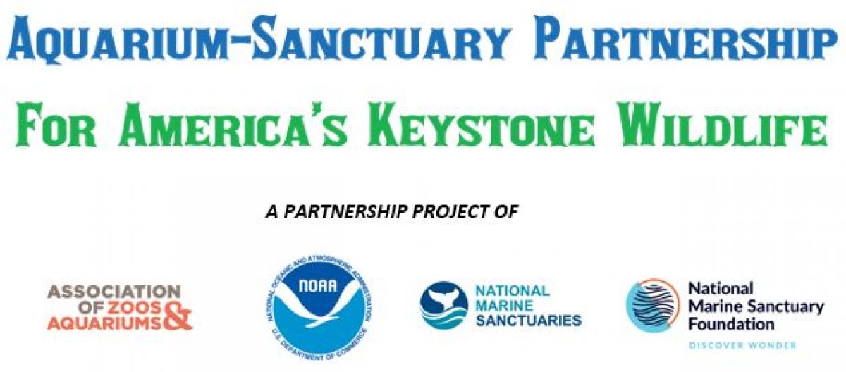 Aquarium Sanctuary Partnership logo