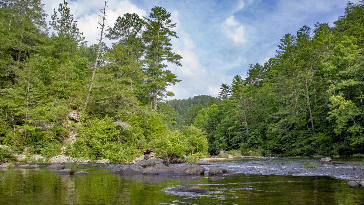 A view of the Conasauga River in Tennessee