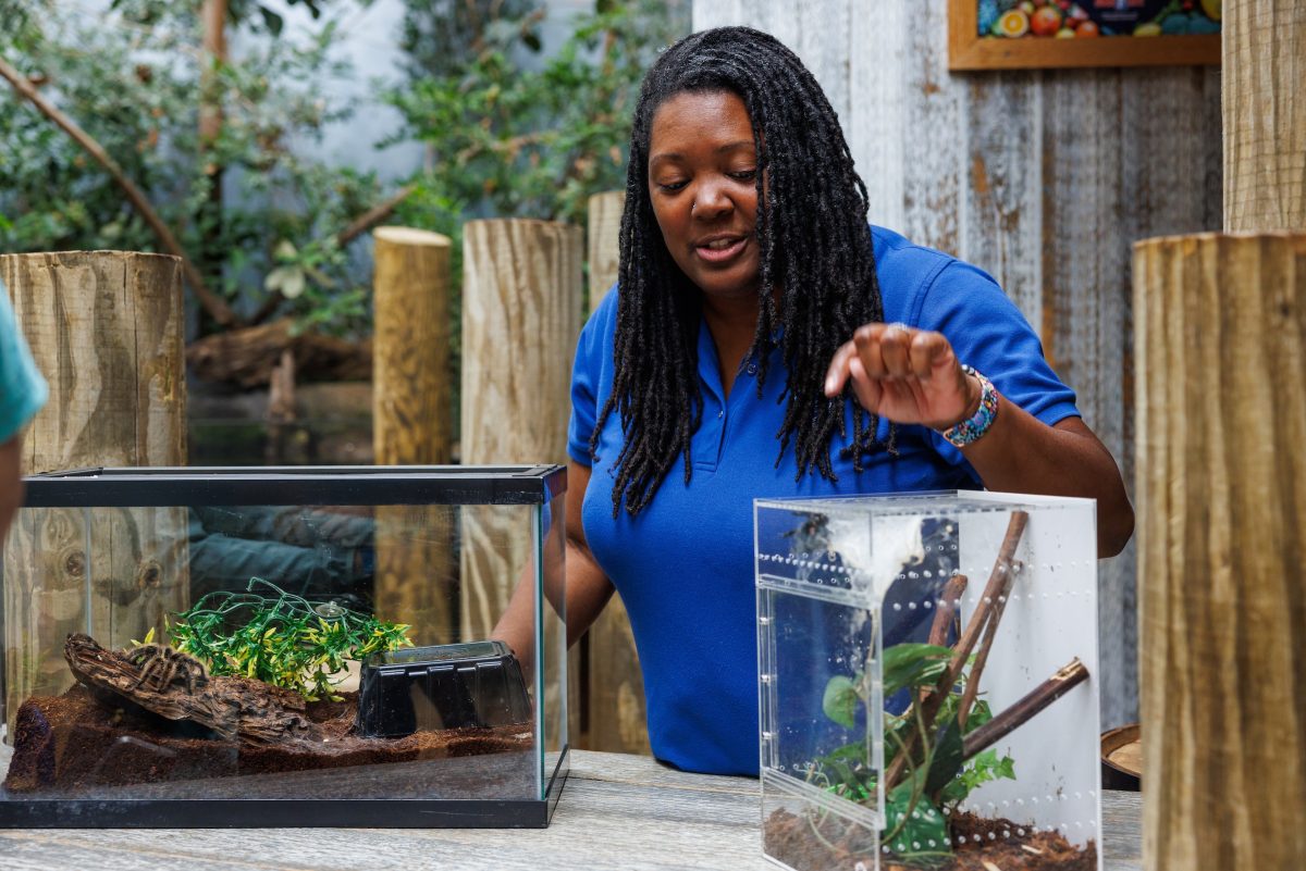 Community Engagement Educator Tanisha La Guardia presents two tarantula animal ambassadors in Delta Country.