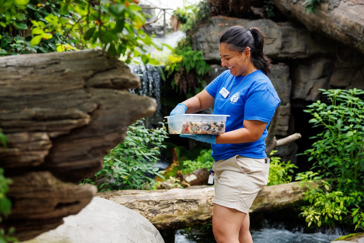 Brenda Salgado feeds fish in the Aquarium cove