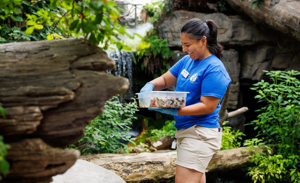 Brenda Salgado feeds fish in the Aquarium cove