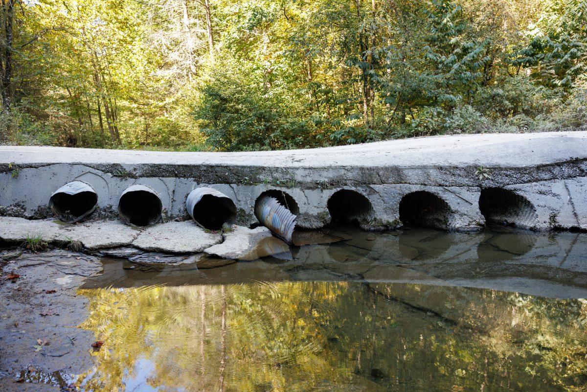 Water pools downstream of a vented ford culvert on Walden Ridge