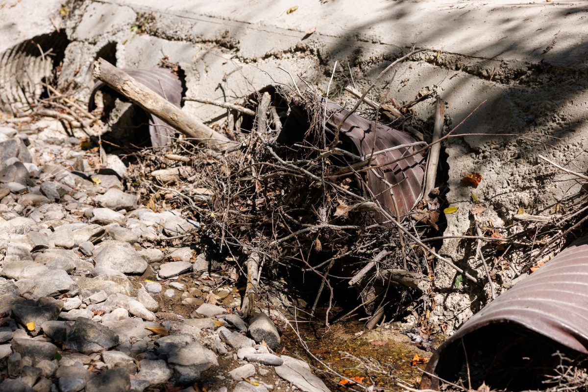 Debris blocks a culvert flowing under a road