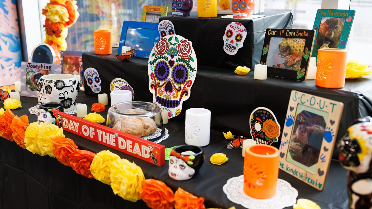 Ofrenda with pictures, candles and flowers