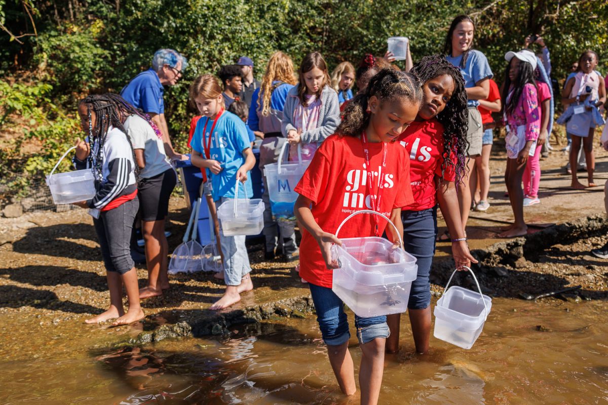 Students with Girls Inc. of Chattanooga line up to release juvenile Lake Sturgeon into the Tennessee River.