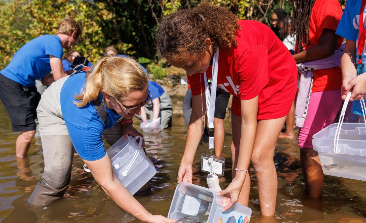 Reintroduction Assistant Hayley Martin helps a student from Girls Inc. of Chattanooga release a juvenile Lake Sturgeon into the Tennessee River.