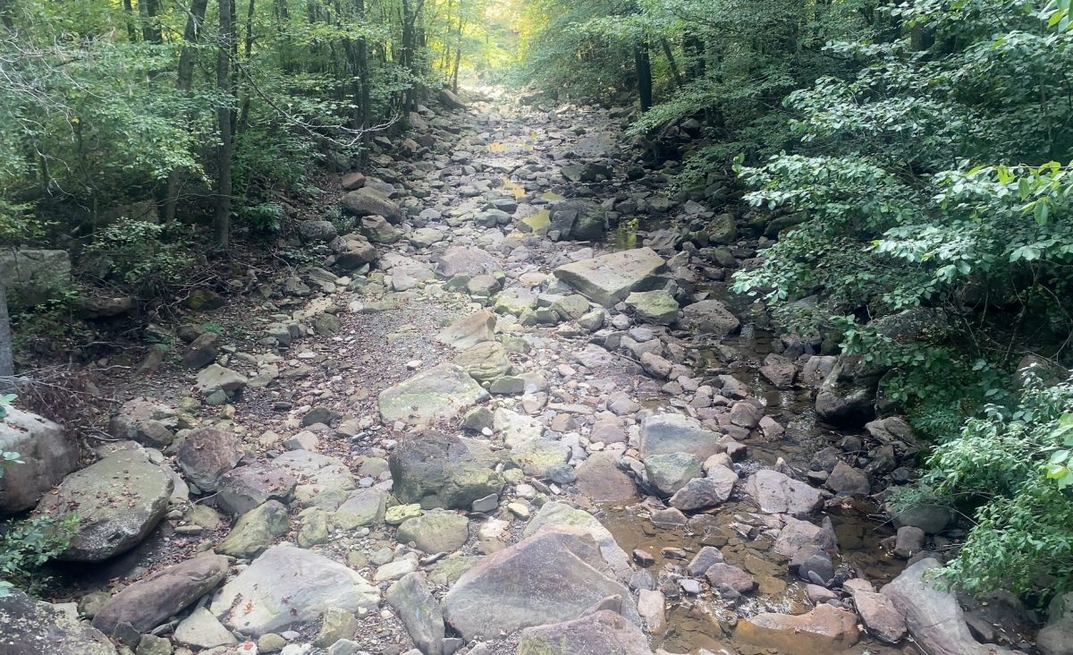 Board Camp Creek is completely dried up during an exceptional drought event in 2023