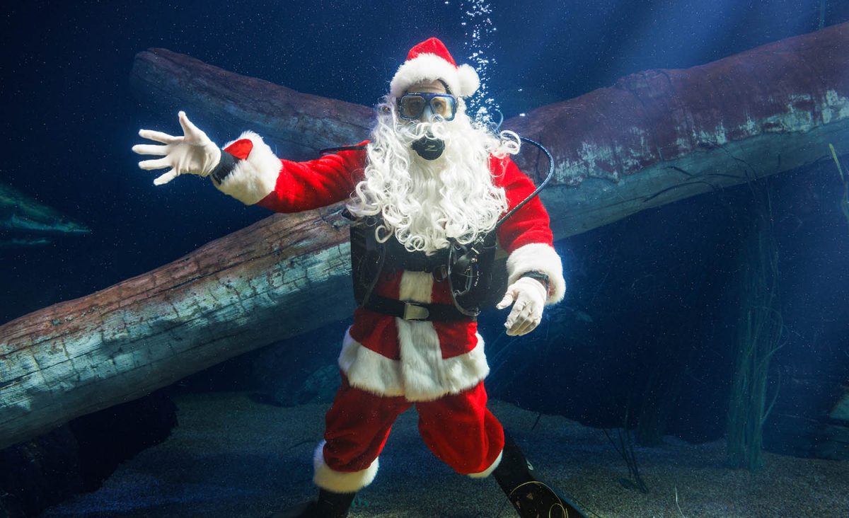 SCUBA Claus dives in River Giants.