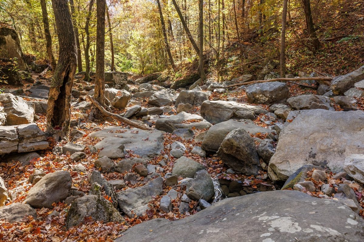 Boulders that would normally be covered in flowing water are seen in a mostly dry creek bed.