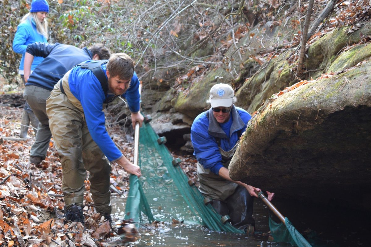 USFWS and Tennessee Aquarium biologists collect Laurel Dace during 2016 drought