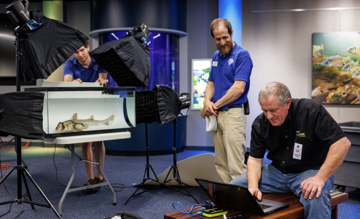 Tennessee Aquarium Animal Care Facility Lead Adam Johnson and Senior Aquarist Kyle McPheeters, from left, help photograph a Port Jackson Shark during a past visit to the Aquarium by National Geographic photographer Joel Sartore, right. (Credit: Doug Strickland/Tennessee Aquarium)
