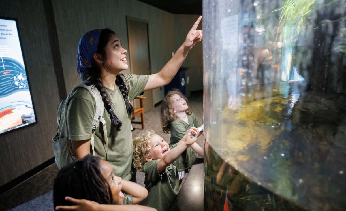 Jim Hill Fellow Joanna Joey Ramirez assists with the Tennessee Aquarium's summer camps.