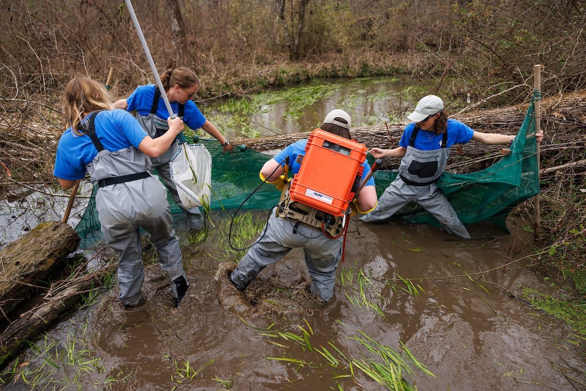 Four people in waders hold a net across a stream