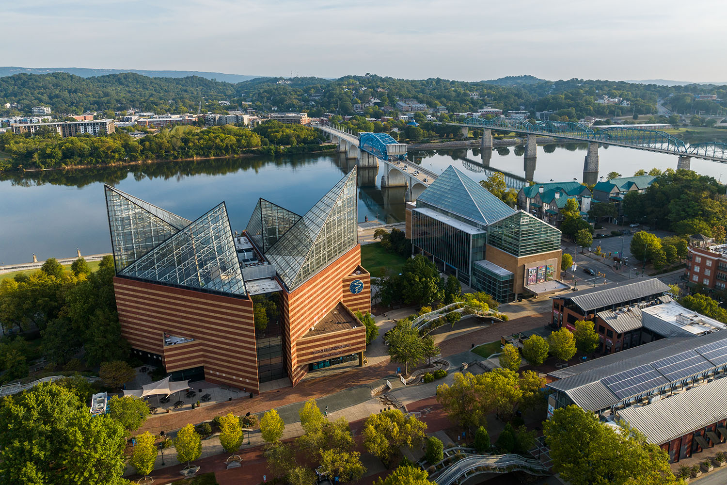 Tennessee Aquarium named country’s best aquarium by Newsweek poll