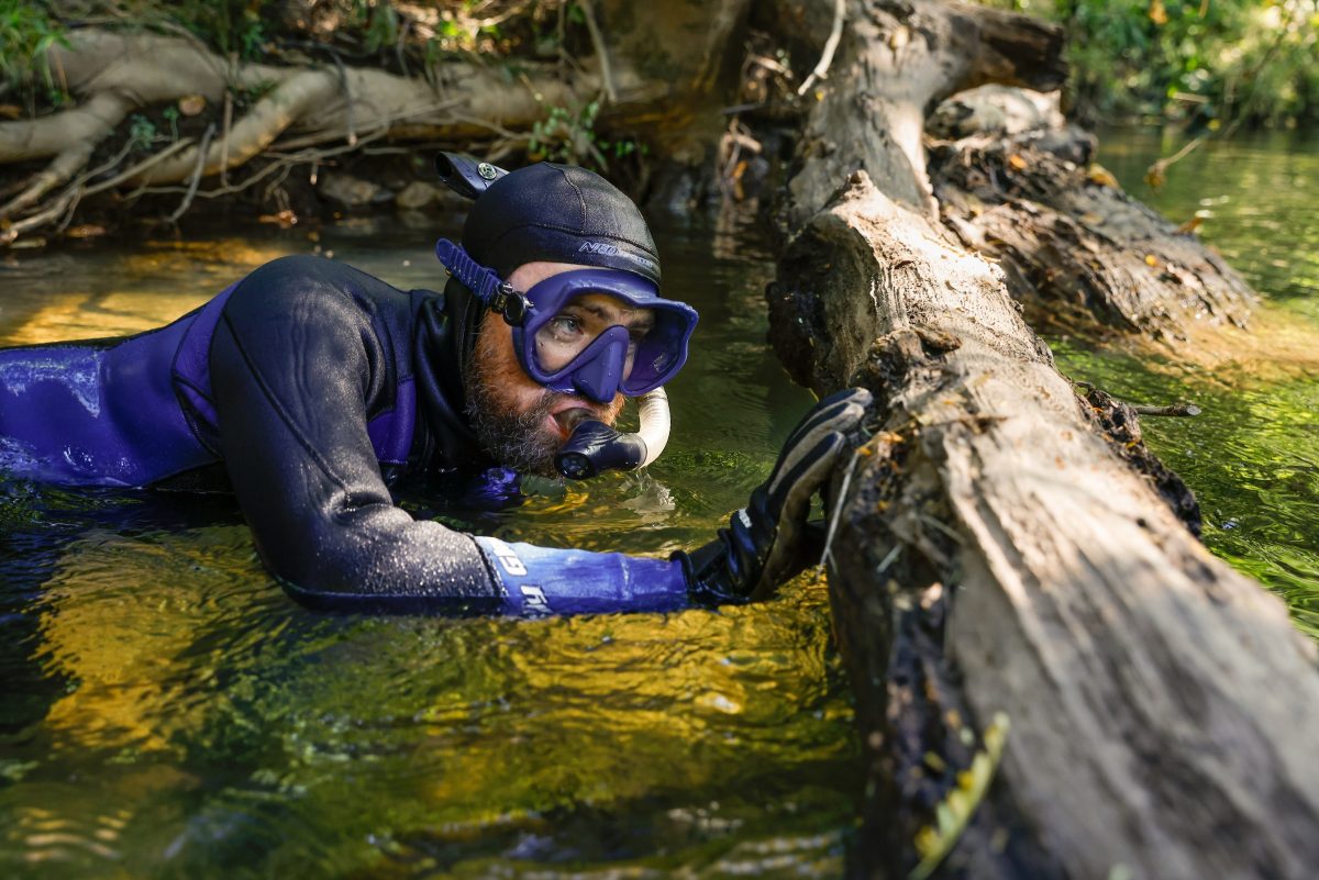 A snorkeler in a wetsuit wearing a snorkel and dive mask rests in a stream with one hand placed on a tree partially submerged in the water