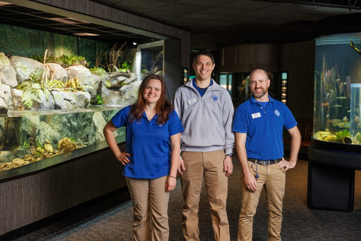 A woman and two men wearing Tennessee Aquarium clothing pose in front of a series of exhibits in a gallery