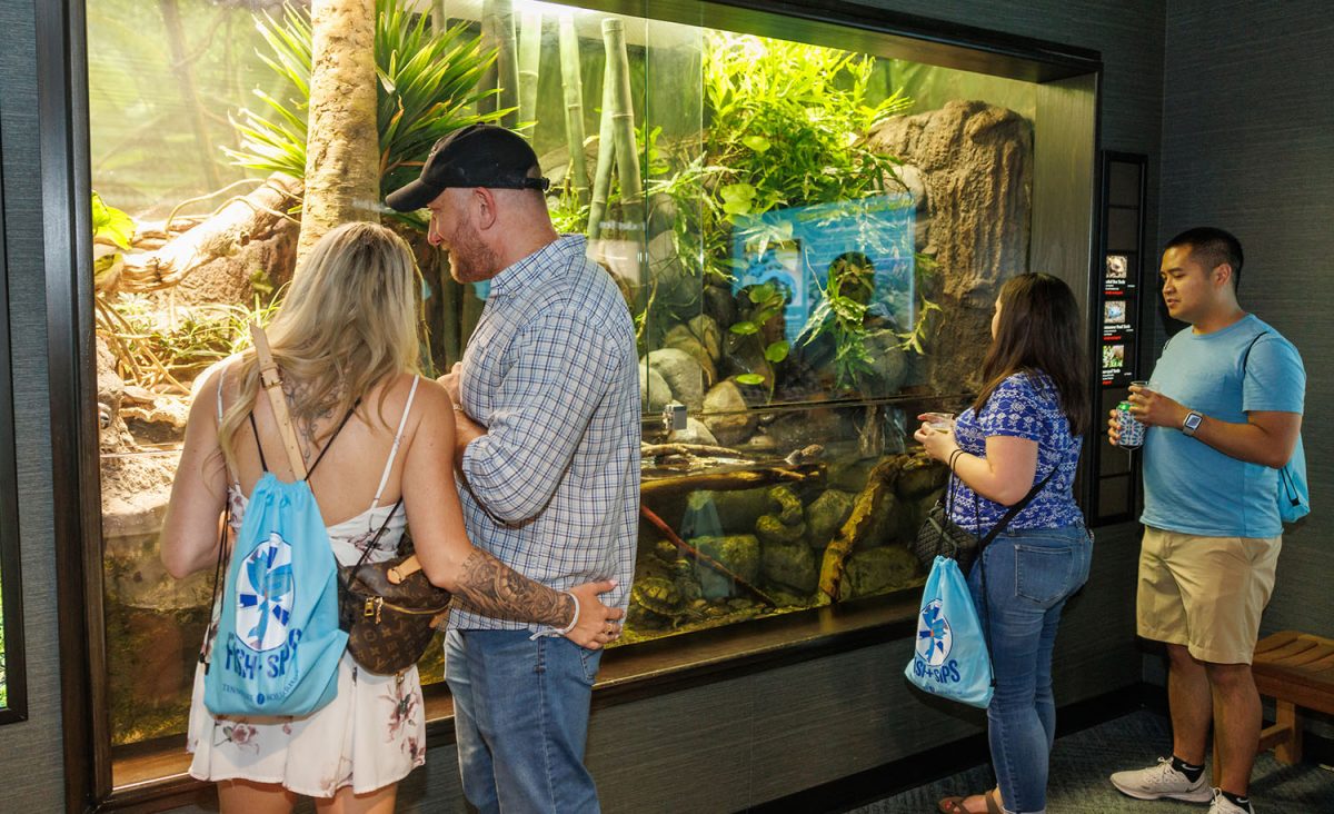 Guests enjoy the Fish & Sips event at the Tennessee Aquarium.