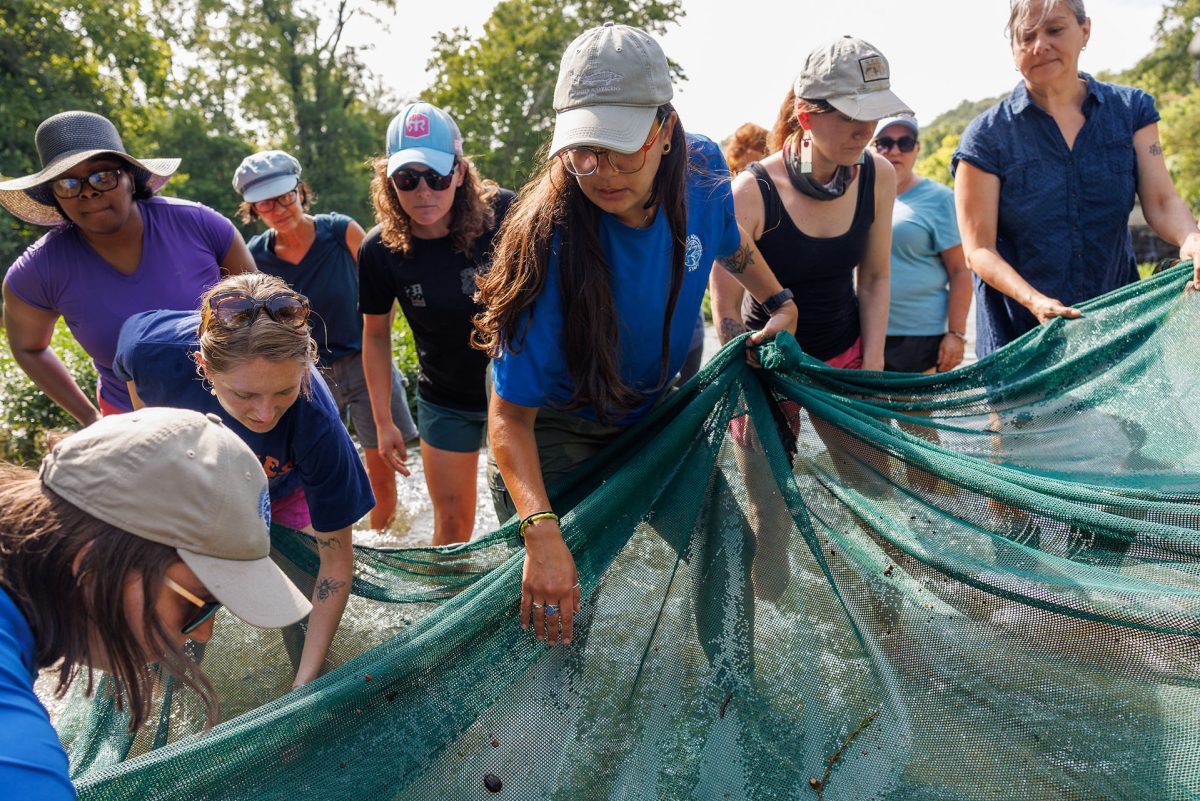 teachers and aquarium staff remove fish from net