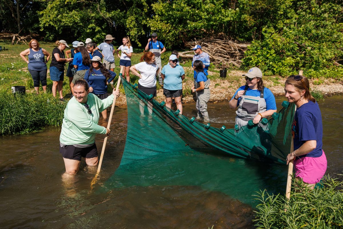 teachers hold a net in a stream